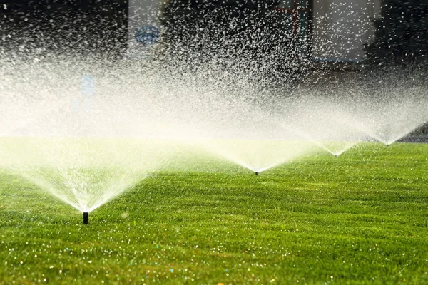 Garden sprinkler on a sunny summer day during watering the green lawn — Photo by bozhdb